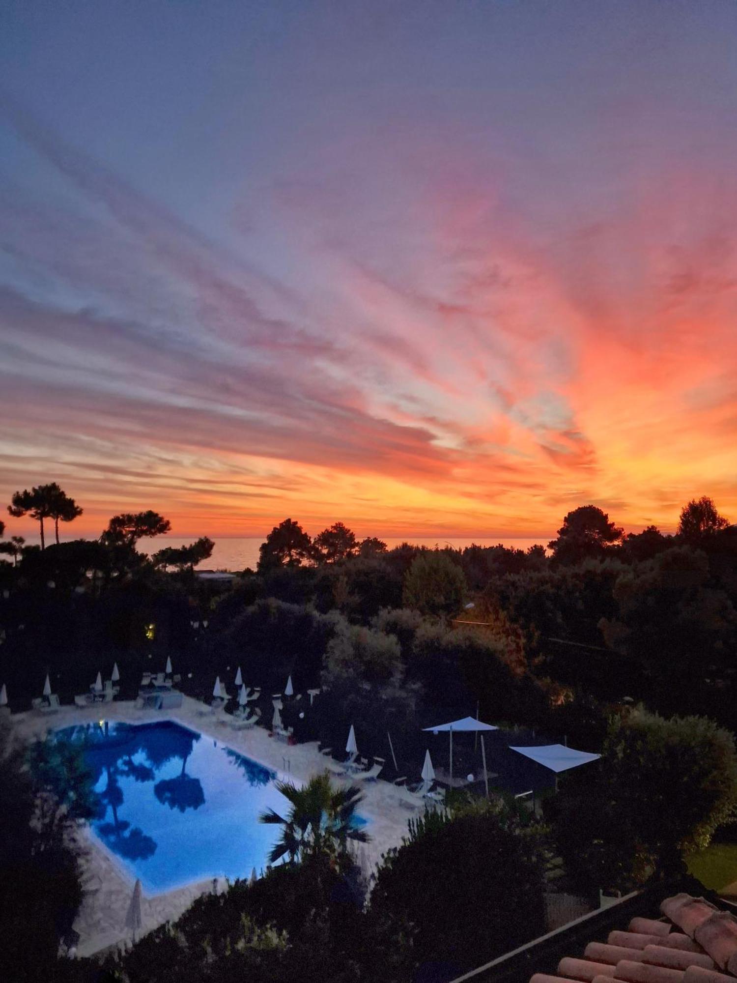 מרינה די מסה Hotel Villa Elsa מראה חיצוני תמונה